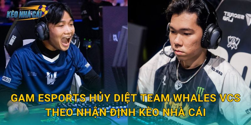 GAM Esports hủy diệt Team Whales VCS theo nhận định Kèo nhà cái